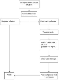 Pleural effusion can result from a number of conditions, such as congestive heart failure, pneumonia, cancer, liver cirrhosis, and kidney disease. Videothoracoscopic Surgery Before And After Chest Tube Drainage For Children With Complicated Parapneumonic Effusion Jornal De Pediatria