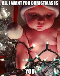 See more ideas about christmas humor, christmas memes, funny pictures. 50 Funny Merry Christmas Memes Jingle All The Way