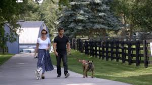 Pet tales rescue, kentwood, michigan. Dog Tales Rescue Has A Powerful Message In Season 2 Yes You Can Help Bell Media