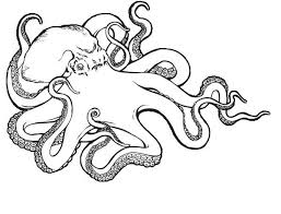 Sea Monster Octopus Coloring Page Monster Coloring Pages Octopus Coloring Page Monster Truck Coloring Pages