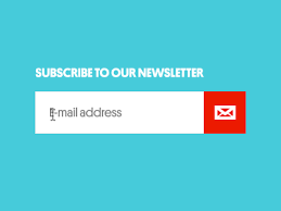 Newsletter Subscription Form Input Blog Marketing Form Design