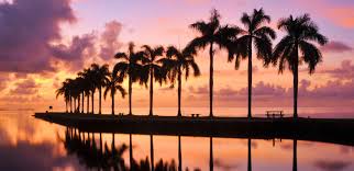 Do you live in the basement or bottom floor or upstairs? 2020 Florida Renters Insurance Guide From Effective Coverage