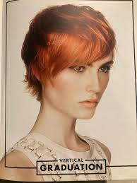 Dobry vecer, na pristi tyden Po, Ut, St hledam modelky na strihani kratkych  vlasu (muze byt mikado, bob,..) Cena 250,- zahrnuje myti, strih,  foukani,styling 10/12:30/14:30 -Akademie pod odbornym dohledem, vse zalezi  na