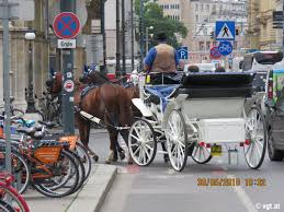 Eine droschke ist ein leichtes, offenes und gefedertes gefährt für bis zu fünf personen. Fiaker An Dreistigkeit Nicht Zu Uberbieten