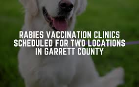 (4 days ago) pet shot express is a local mobile vaccination clinics serving southwest and central florida for over 10 years. Rabies Vaccination Clinics Scheduled For Two Locations In Garrett County Garrett County Health Department