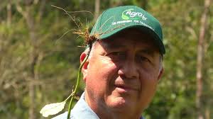 PROGRAMA 17 DE MAYO FELIX PITTI PREPARACIÓN DE SUELOS PARA NUEVOS PASTOS