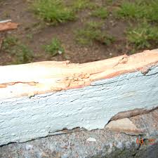 Po box 211241 chula vista, california. Adios Pest Control