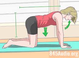 Berikut ini adalah 5 cara mudah untuk anda mengecilkan perut buncit. Cara Berlatih Abs 11 Langkah Dengan Gambar Tips 2021