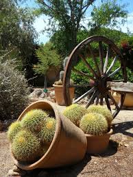 Redzen2/ shutterstock.com die 10 schönsten pflanzen für einen mediterranen garten. Einen Mediterranen Garten Mit Pflanzkubeln Gestalten Fragen Bilder Pflanz Und Pflegeanleitungen Rund Um Das Thema Gartenpflanzen