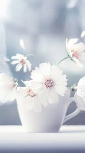 Our favourite time of the year is here, beautiful spring time and we will share some of our enthusiasm with you by searching the web for 10 free spring iphone wallpapers. Free Spring Wallpaper For Iphone 11 Total Update