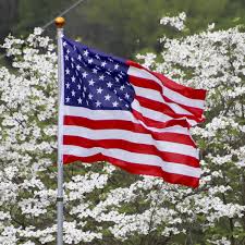 Shawnee, ks landscaping service at the click of a button. Freebies For Veterans Active Military In Kansas Missouri On Veterans Day News Kctv5 Com