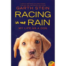 Football Genius Racing In The Rain My Life As A Dog Series No 5 Paperback Walmart Com Dog Books Books Racing