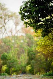 1080p nature wallpapers free download. Nature Background Images Hd For Editing Picsart Download Wallpaper