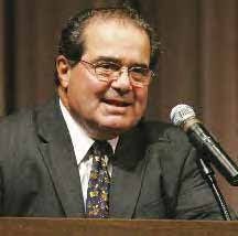 Lesley McAllister Makes Environmental Law Matter