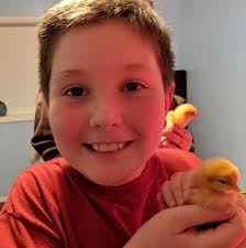 Mason's Chicken Coop