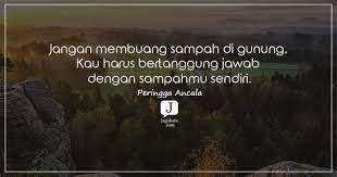 Kumpulan kata kata bunga yang indah dan menawan ini dapat memberikan pembelajar kepada kita semua justru lalat lebih senang dengan tempat sampah dibandingkan dengan kebun mawar, dan sudah demikian kata kata bijak (quotes) tentang bunga mawar yang dapat saya sajikan, tulisan ini. 62 Kata Kata Sampah Jagokata