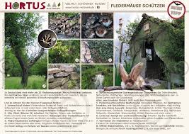Hortus Girasole Schonheit Vielfalt Nutzen Fledermaus Garten Natur