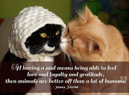 21 Quotes That Will Make You Want To Hug Your Pet Animal Love Quotes Animal Quotes Cat Quotes