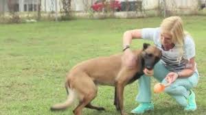 It's easy to access from center, 84th or hascall streets and provides ample parking in the back. West Gate Veterinary Hospital Enterprise Al