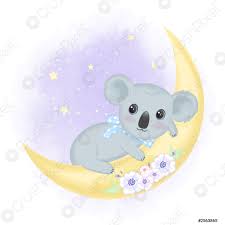 It is the only extant representative of the family phascolarctidae and its closest living relatives are the wombats, which are members of the family vombatidae.the koala is found in coastal areas of the mainland's eastern and southern regions, inhabiting queensland, new. Niedliches Baby Koala Auf Dem Mond Hand Gezeichnet Cartoon Tier Stock Vektorgrafi Crushpixel