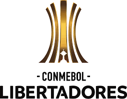 We did not find results for: Copa Libertadores Wikipedia