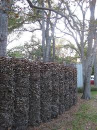 Compost As Fence Natural Fence Permaculture Gardening Compost