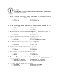Other functions of chloroplasts include fighting off diseases as part of the cell's immune system, storing energy for the cell, and making amino acids for the cell. Cell Functions Quiz Quiz Parts Of The Cell