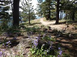 Flagstaff Loop Trail Outside Of Boulder Hiking Trail Maps Trail Trail Maps