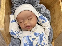 Reborn Artists and Collectors Nurseries