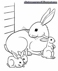 Untuk mempersingkat waktu , berikut ini beberapa 30+ gambar kucing dan kelinci, inspirasi terbaru! 5000 Koleksi Gambar Hewan Kelinci Sketsa Gratis Gambar Hewan