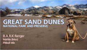 From colorado springs, colorado, travel west on highway 24 for approximately 18 miles to woodland park. Pets Great Sand Dunes National Park Preserve U S National Park Service