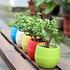 Check spelling or type a new query. Mini Flower Pot Novocom Top