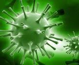 Other viruses can also cause mono. Ø¯Ø§Ø¡ ÙƒØ«Ø±Ø© Ø§Ù„ÙˆØ­ÙŠØ¯Ø§Øª Ø§Ù„Ø£Ø¹Ø±Ø§Ø¶ Ø§Ù„Ø£Ø³Ø¨Ø§Ø¨ ÙˆØ§Ù„Ø¹Ù„Ø§Ø¬ ÙˆÙŠØ¨ Ø·Ø¨
