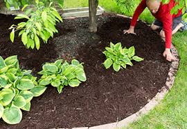 Morrell also warns against mulching late in the fall. How To Mulch Your Garden Squire S Garden Centres