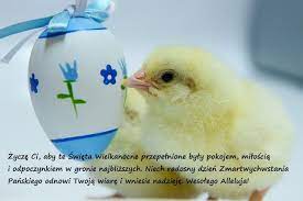 Święta wielkanocne w 2021 roku będziemy obchodzić 4 i 5 kwietnia (wielka niedziela i poniedziałek wielkanocny). Zyczenia Wielkanocne 2016 Piekne Zyczenia Sms Zabawne Wierszyki Zyczenia Na Wielkanoc Gazeta Wroclawska