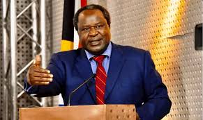 And a member of the executive council (mec) for provincial treasury, economic affairs. Cabinet Reshuffle Rumours Rife That Godongwana Will Replace Mboweni