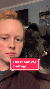 Sheena Dewitt's Instagram, Twitter & Facebook