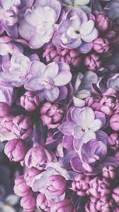 In this article, we'll be discussing the difference between lavender and lilac under. All Purple Flowers Are Beautiful And With Meanings Of Their Own So Which Do You Prefer Beautiful Pur Flower Wallpaper Purple Wallpaper Iphone Wallpaper