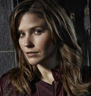 Home of the chicago fire football club and content. Chicago Pd Us Serie Bei Serienjunkies De