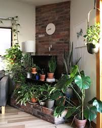 Pin By Pilea The Pass It On Plant On Blomster Plants Houseplants Indoor Garden Living