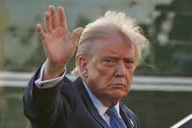 Eric Segall (@espinsegall.bsky.social) — Bluesky