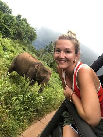 Traveler review