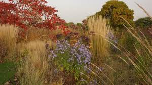 Piet Oudolf Verrat Gartentricks Fur Herbst Und Winter Mit Bildern Garten Privatgarten Pflanzen