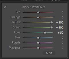 Rumus lightroom, taliwang, nusa tenggara barat, indonesia. Membuat Efek Foto Infrared B W Melalui Adobe Lightroom