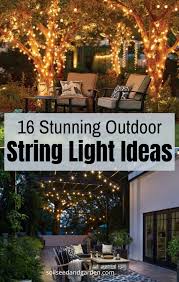 Pin On Garden Ideas