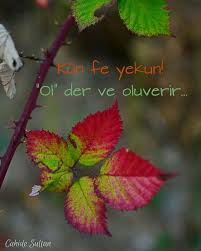 Epingle Sur Anlamli Yazi