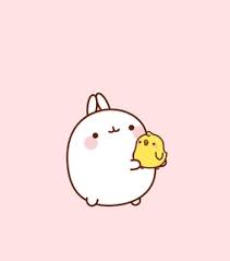 Check spelling or type a new query. Molang Images On Favim Com
