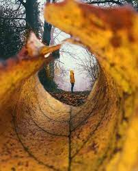 Subjects Of Photography Photography Subjects Photography Photography Photographysubjects Autumn Photography Fall Photoshoot Photography Subjects
