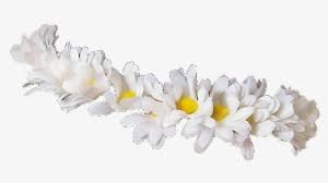 Large collections of hd transparent white flower png images for free download. White Flower Crown Png Images Free Transparent White Flower Crown Download Kindpng
