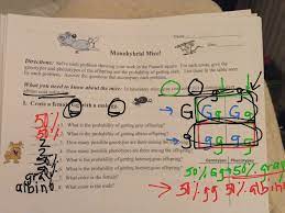 Review genetics and the use of punnett squares in a biology text before doing this experiment. Mono Hybrid Mice 1 Science Showme
